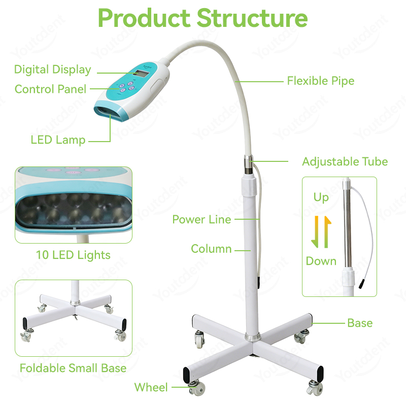 50W Dental Touch Screen 3 Colo - Teeth Whitening With Led Light 评论和价格