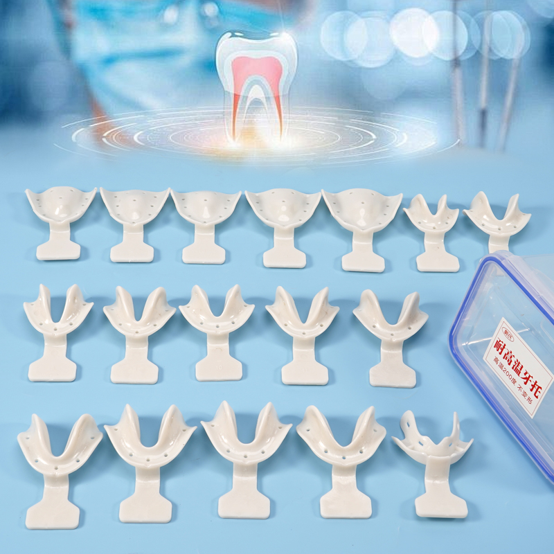 17Pcs Dental Impression Trays  - Teeth Whitening Tray 评论和价格