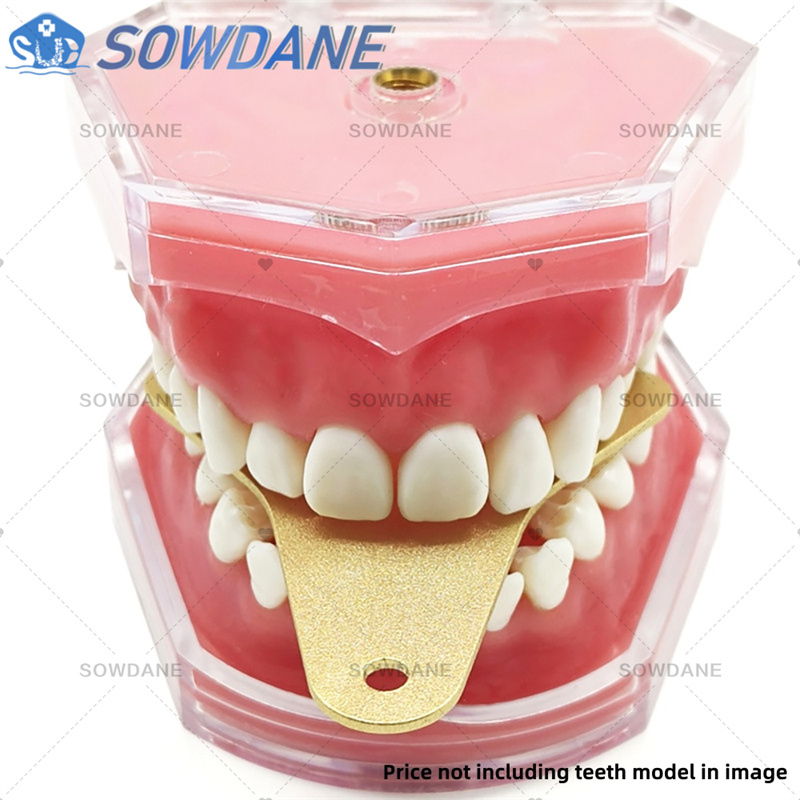 Dental Lab Impression Trays to - Teeth Whitening Tray 评论和价格