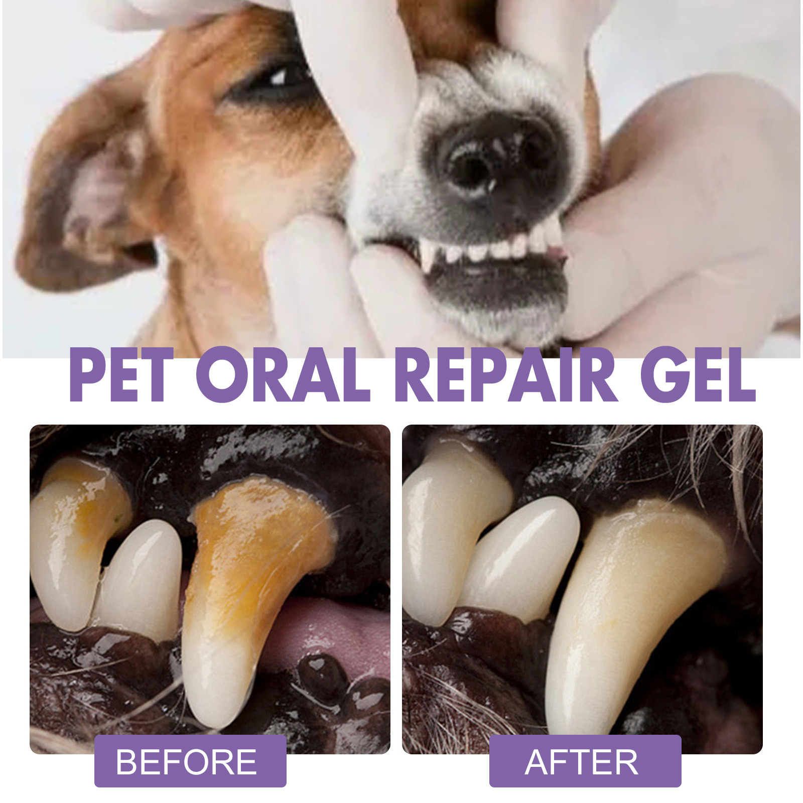 Pet Oral Repair Gel Puppy Tart - Teeth Whitening Before And After 评论和价格