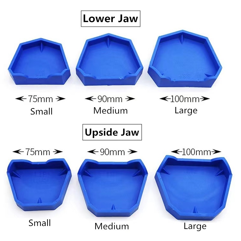 6pcs/set Dental Model Base Sil - Teeth Whitening Tray 评论和价格