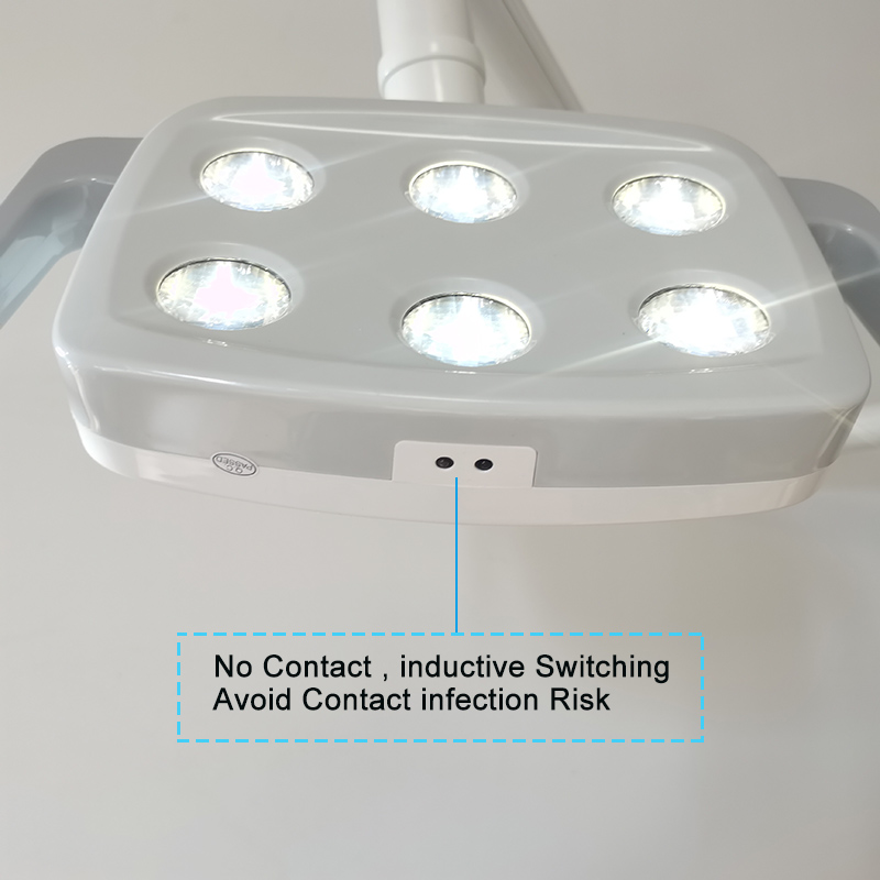 6LED Dental LED Lamp Oral Ligh - Teeth Whitening With Led Light 评论和价格