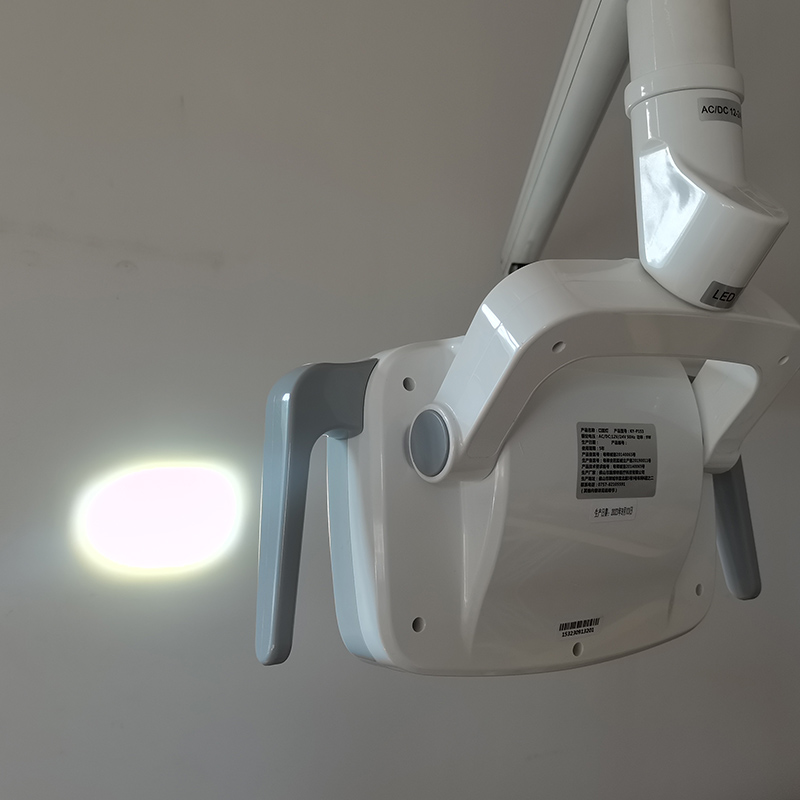 6LED Dental LED Lamp Oral Ligh - Teeth Whitening With Led Light 评论和价格