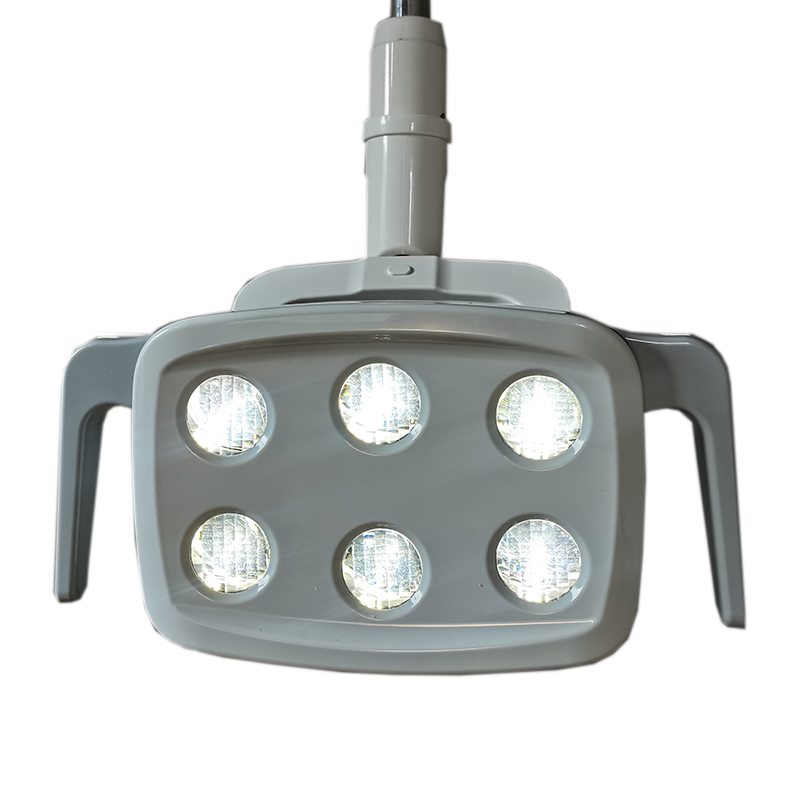 6LED Dental LED Lamp Oral Ligh - Teeth Whitening With Led Light 评论和价格