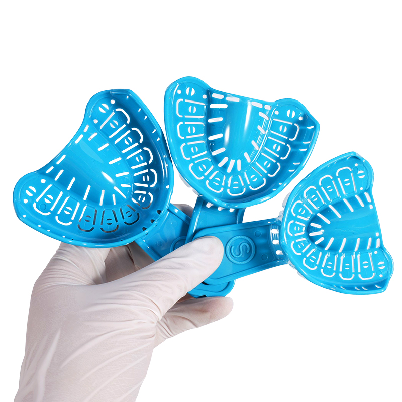 6Pcs Dental Implant Impression - Teeth Whitening Tray 评论和价格