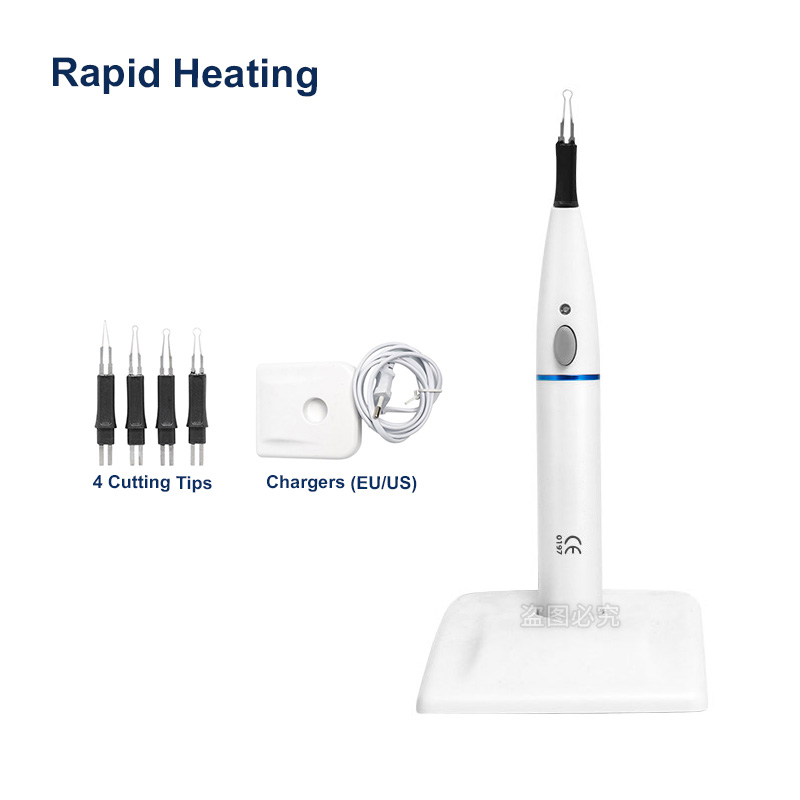 4 Tips Dental Gutta Percha Cut - Teeth Whitening Tips 评论和价格